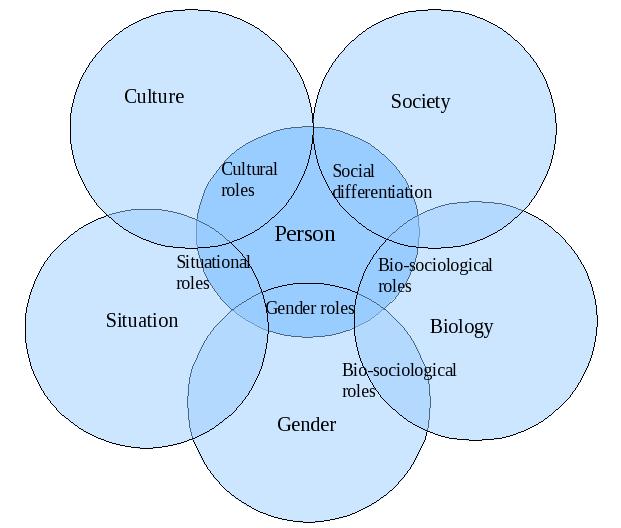 Social-Roles