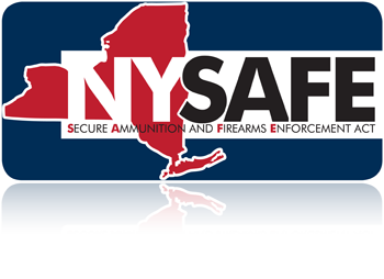 NY_SAFE_Act_page